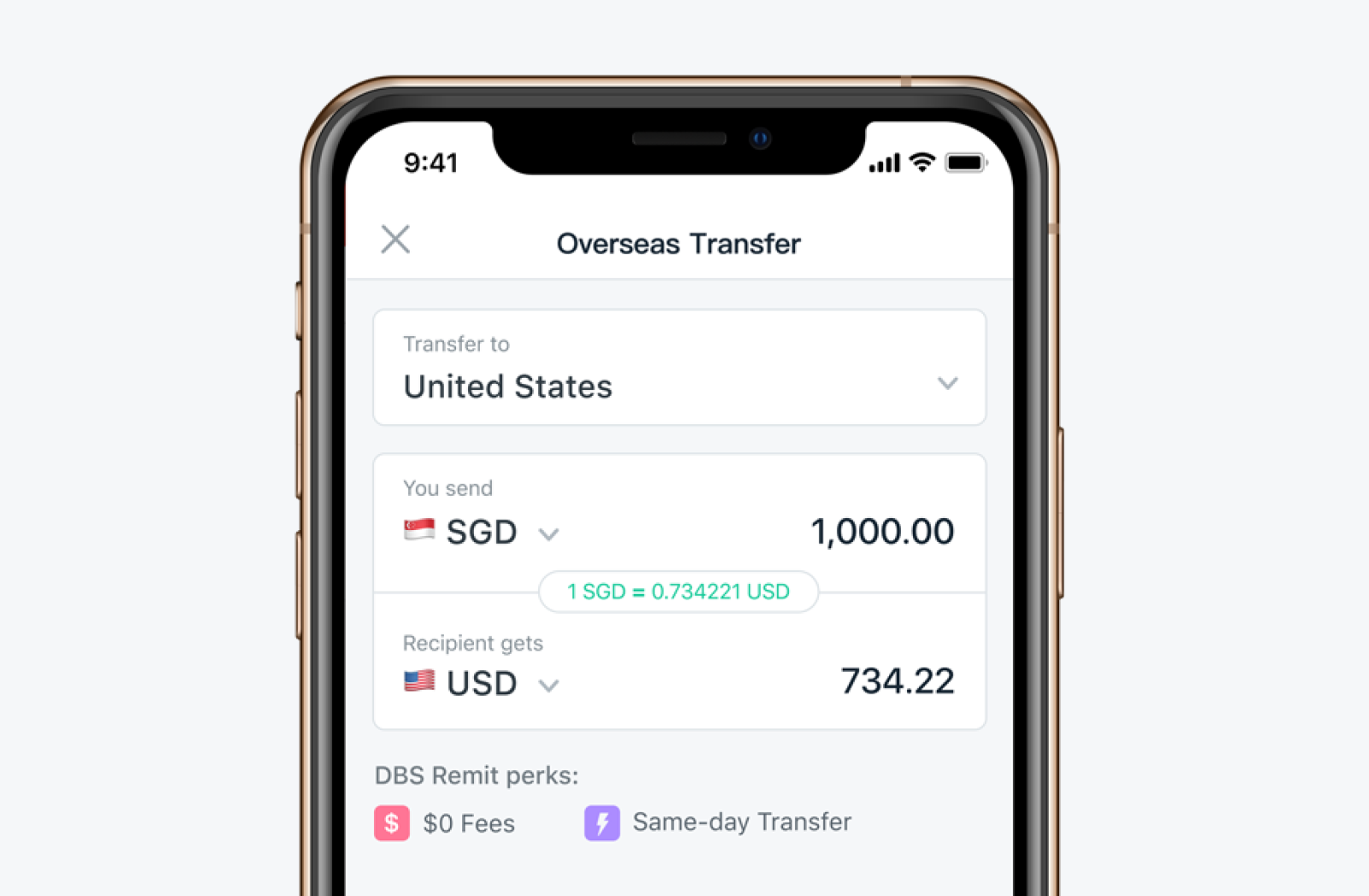 DBS Remit Calculator